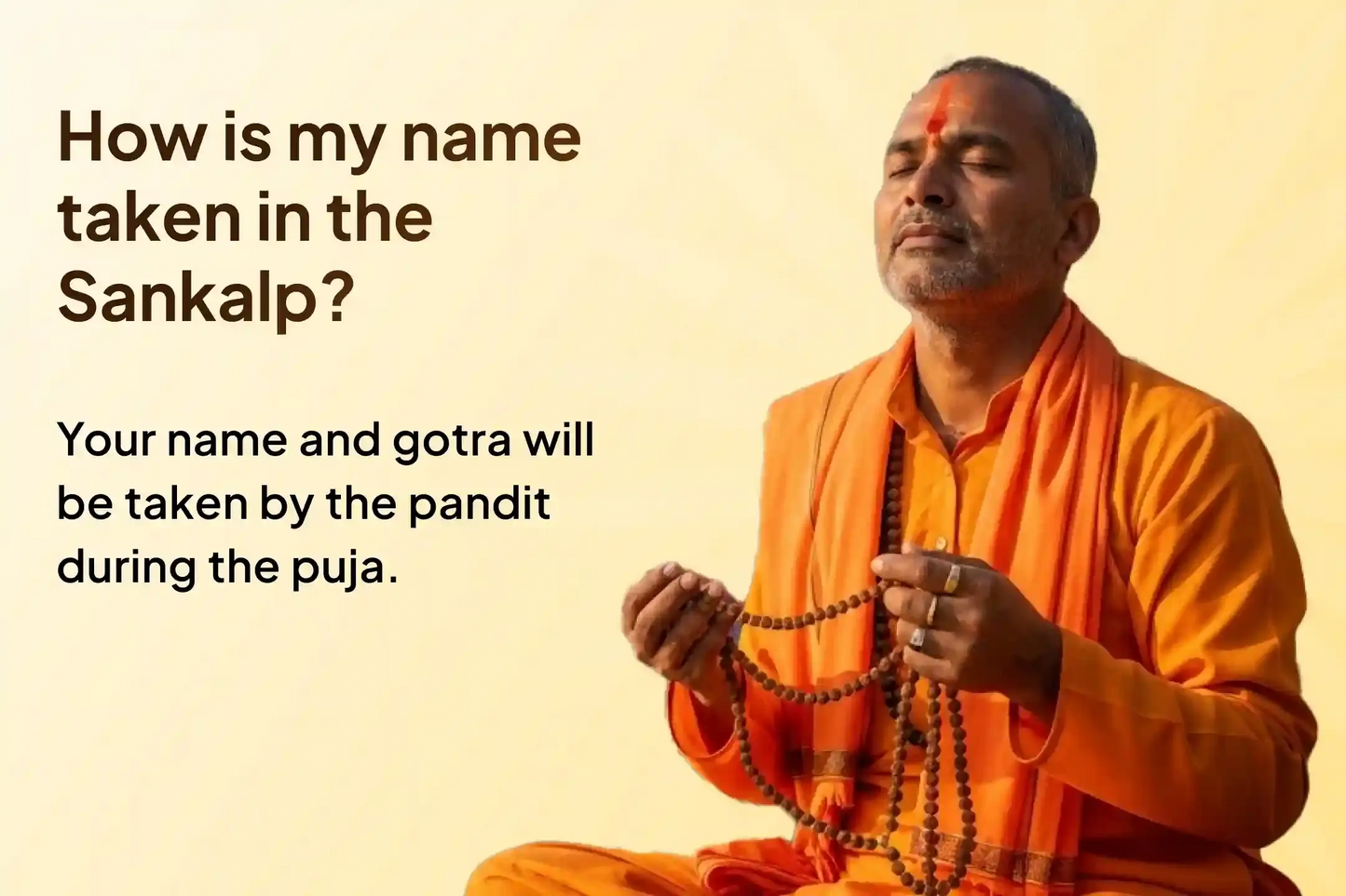 Kaal Sarp Dosh Nivaran Puja ( ₹651/-)