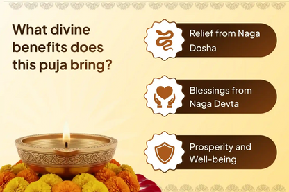 Kaal Sarp Dosh Nivaran Puja ( ₹651/-)