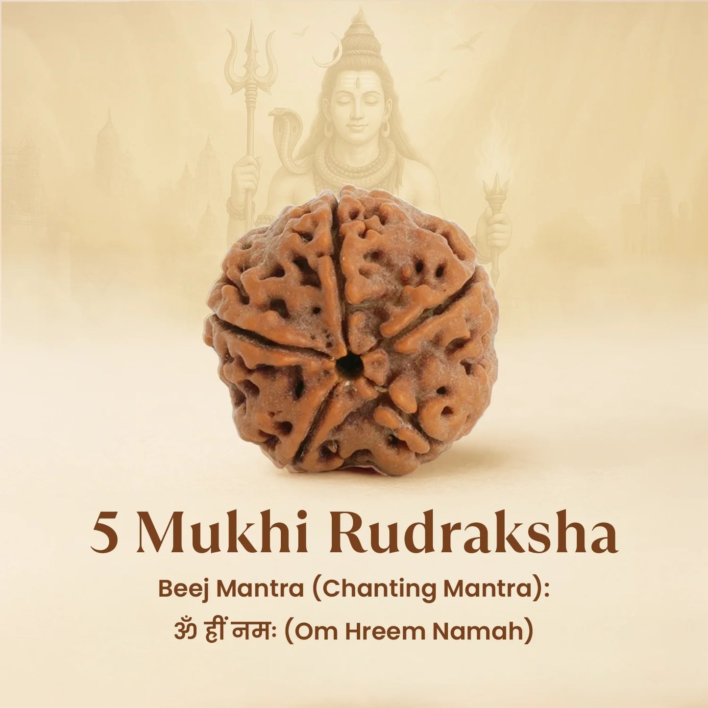 सिद्ध 5 मुखी रुद्राक्ष और संपूर्ण श्री यंत्रम   धारण से धन ,समृद्धि , मानसिक शांति , शादी विवाह की बाधा , नशे की आदत में सुधार आता है !Combo