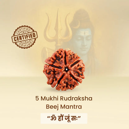 सिद्ध 5 मुखी रुद्राक्ष और संपूर्ण श्री यंत्रम   धारण से धन ,समृद्धि , मानसिक शांति , शादी विवाह की बाधा , नशे की आदत में सुधार आता है !Combo