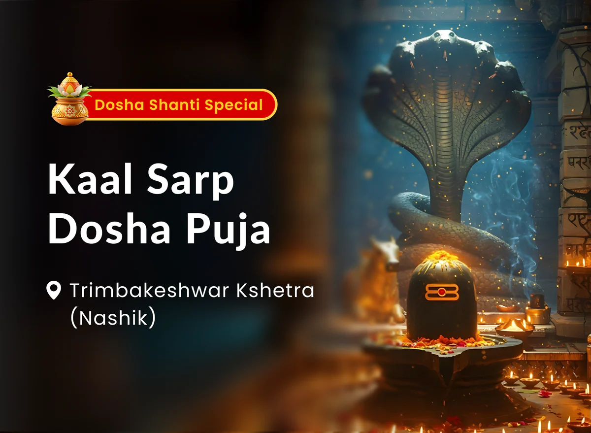 Kaal Sarp Dosh Nivaran Puja ( ₹651/-)