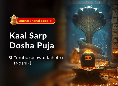 Kal sarp Pooja - 2 person